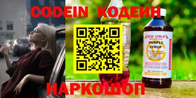 МДПВ Партизанск