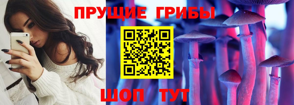 Тосно  Галлюциногенные грибы Psilocybe  Псилоцибиновые грибы Cubensis  Вход с VPN 
