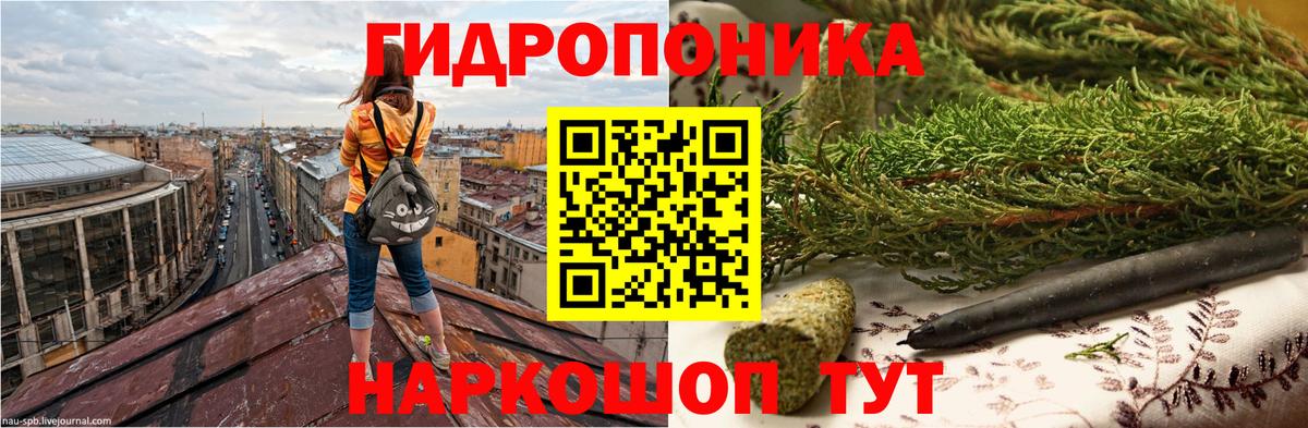 Шишки марихуана OG Kush  Марихуана индика  Тосно  Вход с VPN 